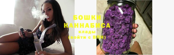 ГАЛЛЮЦИНОГЕННЫЕ ГРИБЫ Арсеньев