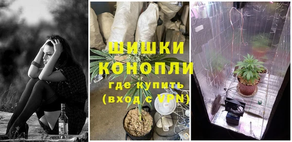 ГАЛЛЮЦИНОГЕННЫЕ ГРИБЫ Арсеньев