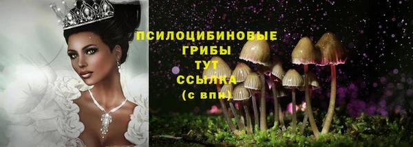 ГАЛЛЮЦИНОГЕННЫЕ ГРИБЫ Арсеньев